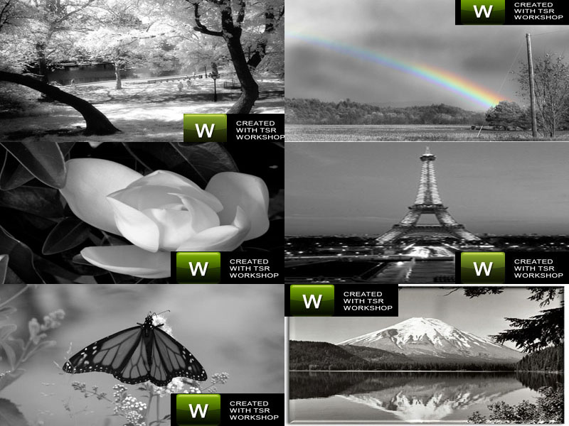 Six New Paintings coming soon. They are all in Black and White. I hope ya'll will like these new paintings. :-)