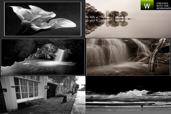 Black and White 007 to 012 Paintings