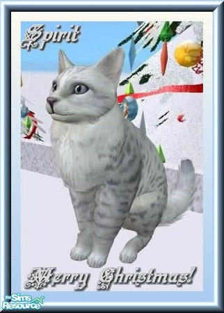 Sims 2 — Spirit by Dirtdevill — The meaning of the holidays came this year on little cat feet. May the spirit of