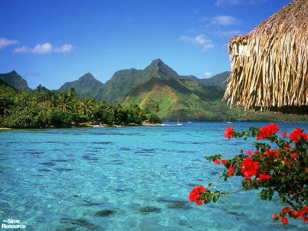 Sims 2 — Nature Picture Set - 5 by Marinarolle — 