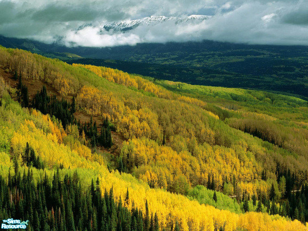 Sims 2 — Nature Picture Set - 9 by Marinarolle — 