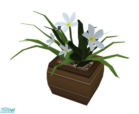 Sims 2 — Veral Dinning Room - Plumeria by sim_man123 — Plumeria plant, part of my Veral Dining Room.