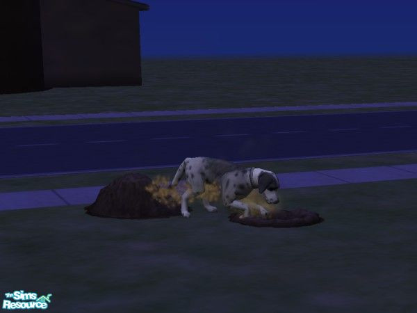 Sims 2 — Dash by Bubblyminty — Based on my real life dog Dash. He\'s part Wicklow Collie, part Springer Spaniel and part
