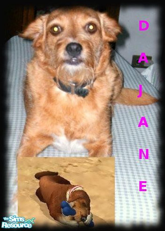 Sims 2 — Dajane by damnanoir — My dog in real life now in SIMS2 world... All Mats By MAXIS