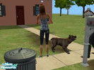 Sims 2 — Sport _ Rockingam Terrier by strange_character — This is my 1st creation, a new breed derived from the Richmond