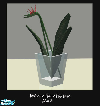Sims 2 — Welcome Home My Love Livingroom Plant by ~Bec~ — Welcome Home My Love Livingroom Who wouldn\'t want to come home