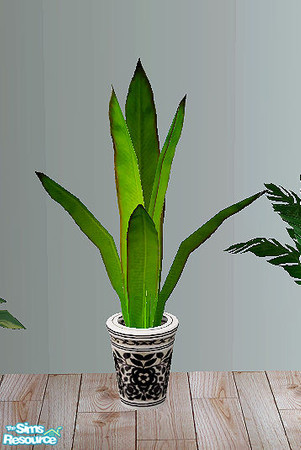 Sims 2 — Sun - bananaplant by steffor — 