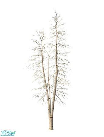 Sims 2 — Birch Tree BASE GAME - Snow Recolor by Murano — Birch tree snow recolor (can\'t be really seen on the screenshot