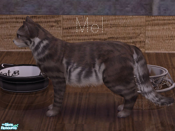Sims 2 — Mel by Hopelessness — cat