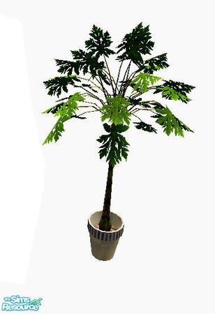 Sims 2 — Eat - plant by steffor — 