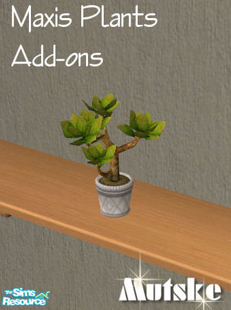 Sims 2 — Maxis Plants Add-ons - Cactus 03 small by Mutske — 