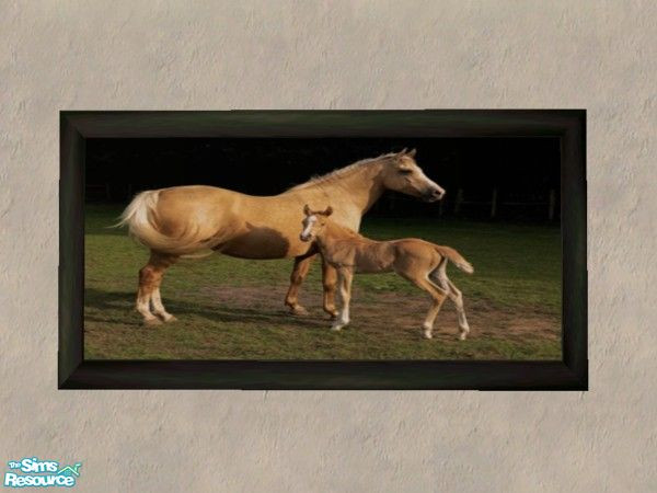 Sims 2 — Mare & Foal Collection - Cd Palominomareandfoal by xtinabobina — Lovely piece for any horse lover.