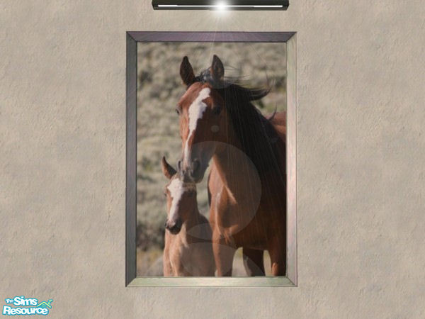 Sims 2 — Mare & Foal Collection - Cd Baymareandfoal by xtinabobina — A great piece for any country or western motif!
