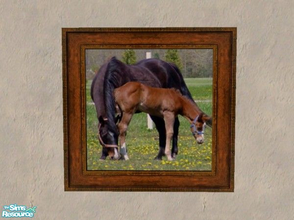 Sims 2 — Mare & Foal Collection - Cd Baymareandfoal5 by xtinabobina — Perfect for your western homestead.