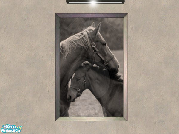 Sims 2 — Mare & Foal Collection - Cd Grayscalemareandfoal by xtinabobina — Ideal for any home.
