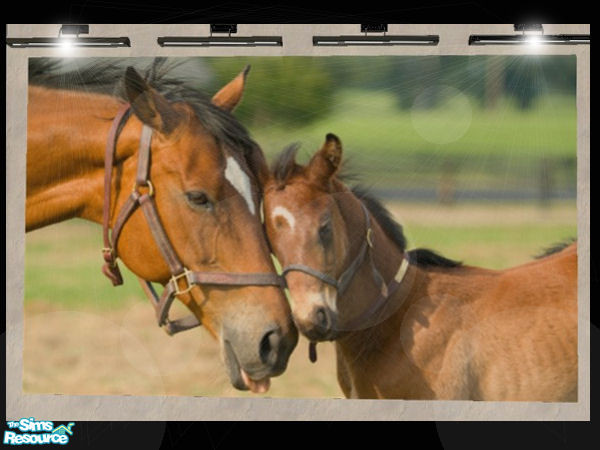 Sims 2 — Mare & Foal Collection - Cd Baymareandfoal4 by xtinabobina — A classic connection between mare and foal.