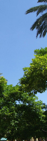 Sims 2 — Panoramic Espagna - Cordoba Mural Panel 4 by sbaroudi — Just back from your spanish holiday and wishing you