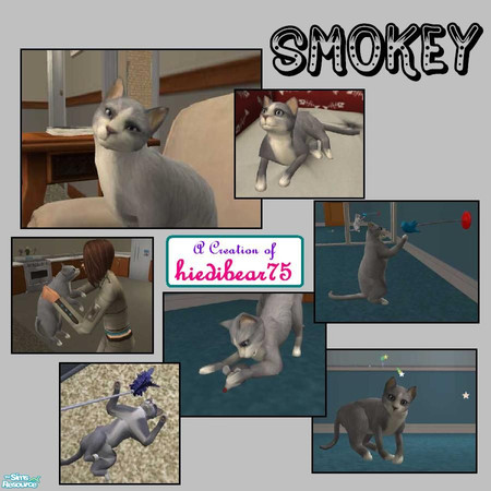 Sims 2 — Smokey by hiedibear75 — Smokey is an adorable little gray kitty who just wants to be loved & hugged.