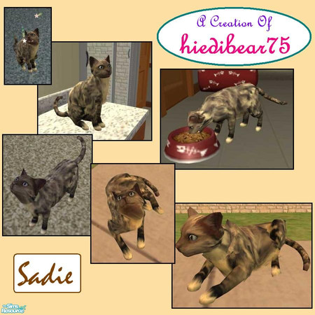 Sims 2 — Sadie by hiedibear75 — This adorable tortoise shell is beaming with a smile.....a smile just for you.