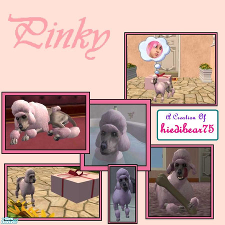 Sims 2 — Pinky by hiedibear75 — Pinky the very pink poodle is for DOT & everyone to enjoy. But she is a special