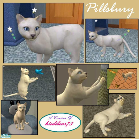 Sims 2 — Pillsbury  by hiedibear75 — This cutie is sweeter than a freshly baked cinnamon roll. 