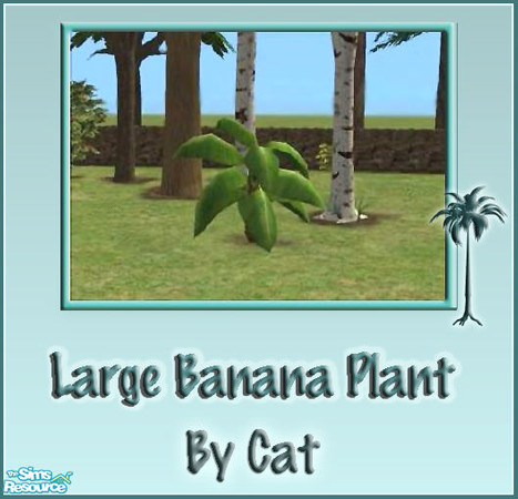 Sims 2 — Large Bananna Plant by cat3cm — A large banana plant for your landscaping needs.