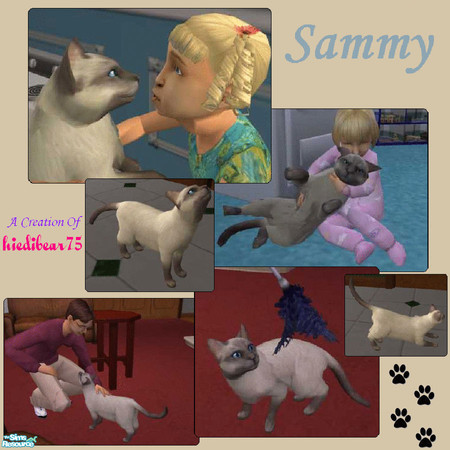 Sims 2 — Sammy by hiedibear75 — Sammy is the \"Real Life\" cat of our very own wolfsim, and now he can be