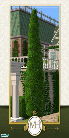 Sims 2 — MH Garden Topiary - Tower by phoenix_phaerie — A topiary bush in the shape of a towering spire.