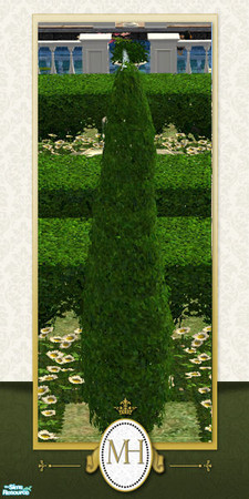 Sims 2 — MH Garden Topiary - Mini Tower by phoenix_phaerie — A miniature topiary bush in the shape of a towering spire.