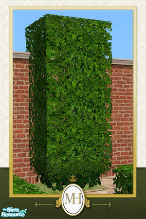 Sims 2 — MH Garden Monolith Hedge by phoenix_phaerie — A monolithic boxwood that stands taller than the large Maxis