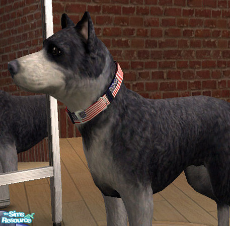 Sims 2 — Laura Simly Flag Dog Collar - USA by debs913 — The red, white and blue flag of the United States of America is