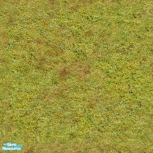 Sims 2 — openhouse grass and earth Ground cover - Grass Ground Cover 30 by openhousejack — grass ground covering