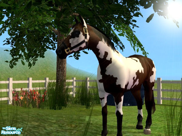 Sims 2 — Basic Paint Horse Set - Dark Bay with Halter by xtinabobina — Halter is 2-d, but I like how it turned out. There