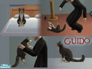 Sims 2 — Guido by Torchgirl2151 — Guido may not be the smartest or cleanest cat in the universe but you\'ll fall in love
