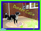 Sims 2 — better border collie by roxydog2598 — hellooooo this is my first upload and i hope you like it, roxydog2598