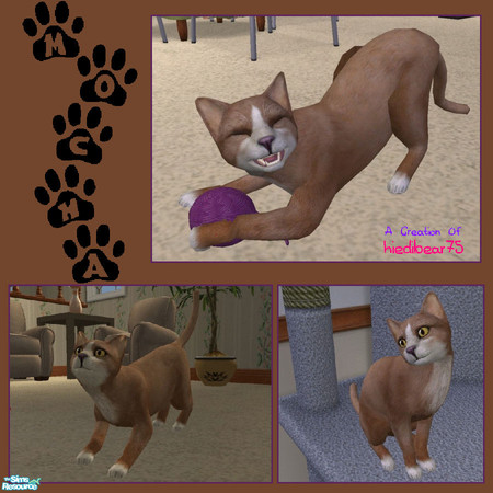 Sims 2 — Mocha by hiedibear75 — Mocha is just like a cup of mocha.......sweet & she\'ll make you & your Sim feel