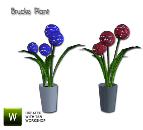 Sims 3 — PlantBrucke by Pilar — PlantBrucke