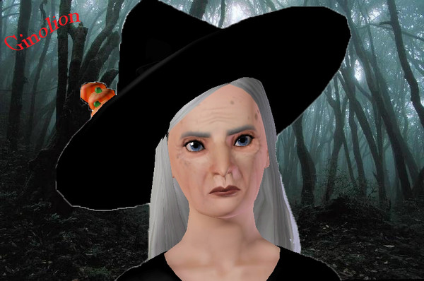 Sims 3 — witch by Ginolion — Hope u like this witch!!!