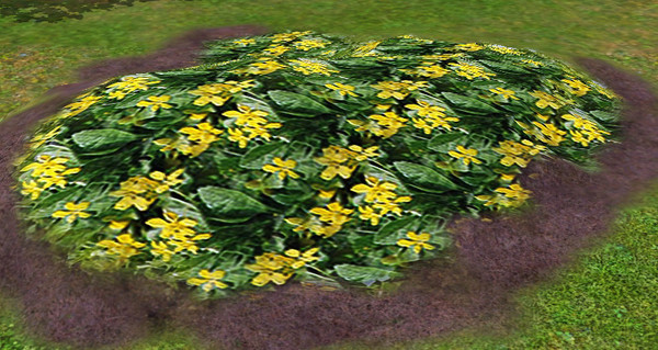 Sims 3 — Greda_Flowersv2 by Greda — This is Ground Cover! These will also look beautiful fenced in. Spreadable only with