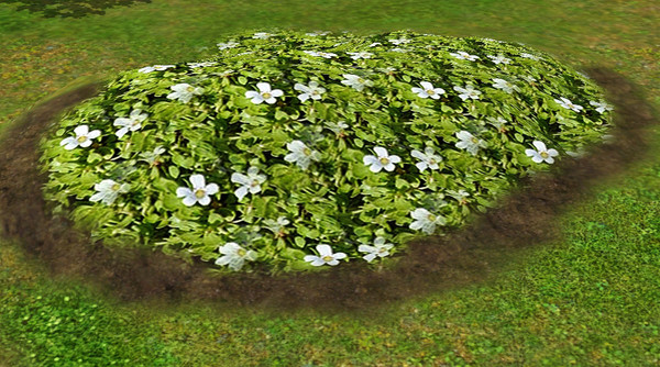 Sims 3 — Greda_Flowers v1 by Greda — This is Groundcover and it looks really beautiful in the Game!