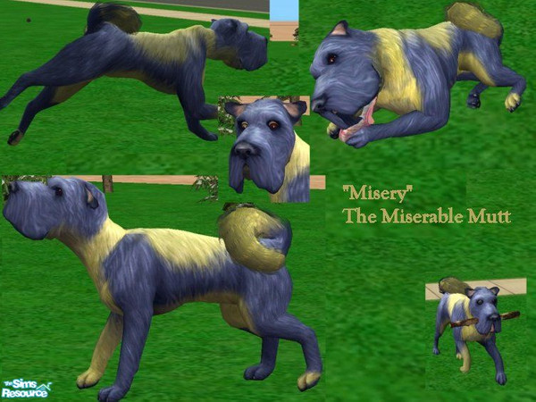 Sims 2 — Misery by Small Town Sim — Misery the Miserable Mutt. You'd think he would be happy being such a pretty pup- but