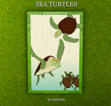 Sims 3 — Sea turtle by ataylor69 — Sea turtle