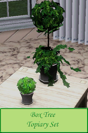 Sims 3 — Box tree topiary set by tine93 — Two box tree topiaries 