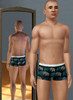 Sims 3 — Elephant Underwear by KevinTroy — Elephant patterned underwear