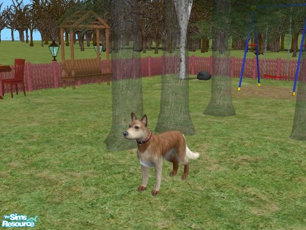 Sims 2 — Shadow by Wolfie13 — A loyal friend for your sim.