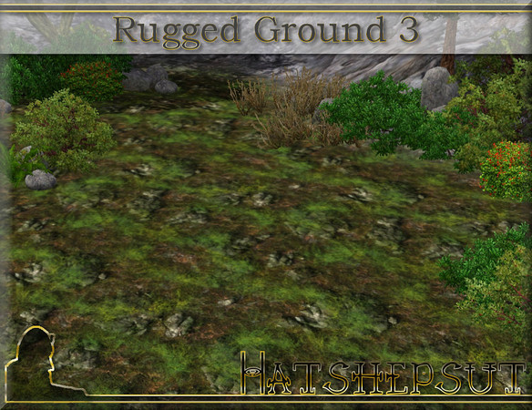 Sims 3 — Rugged Ground 3 by hatshepsut — Weed covered stoney ground