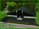 Sims 3 — G10 Gym by kev42092 — G10 Gym, a large Gym with plenty of room for the whole neighborhood to come and work out
