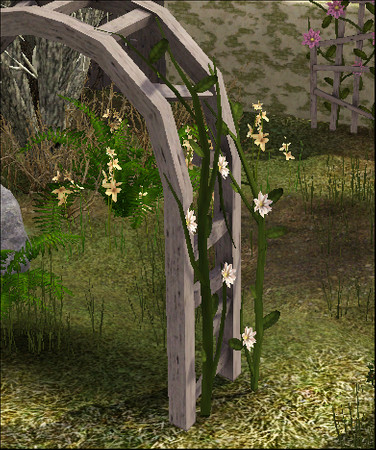 Sims 3 — Arbor Vines by sim_man123 — Arbor Vines, made by sim_man123 from TSR. TSRAA.