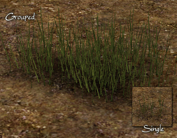 Sims 3 — Short Grass by sim_man123 — Short Grass from my Old Garden set. Made by sim_man123 from TSR. TSRAA