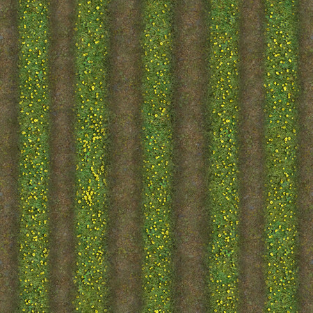 Sims 3 — Harvest Terrains - Vertical Yellow Flower Crop by AppleFall — Created by Apple for TSR.